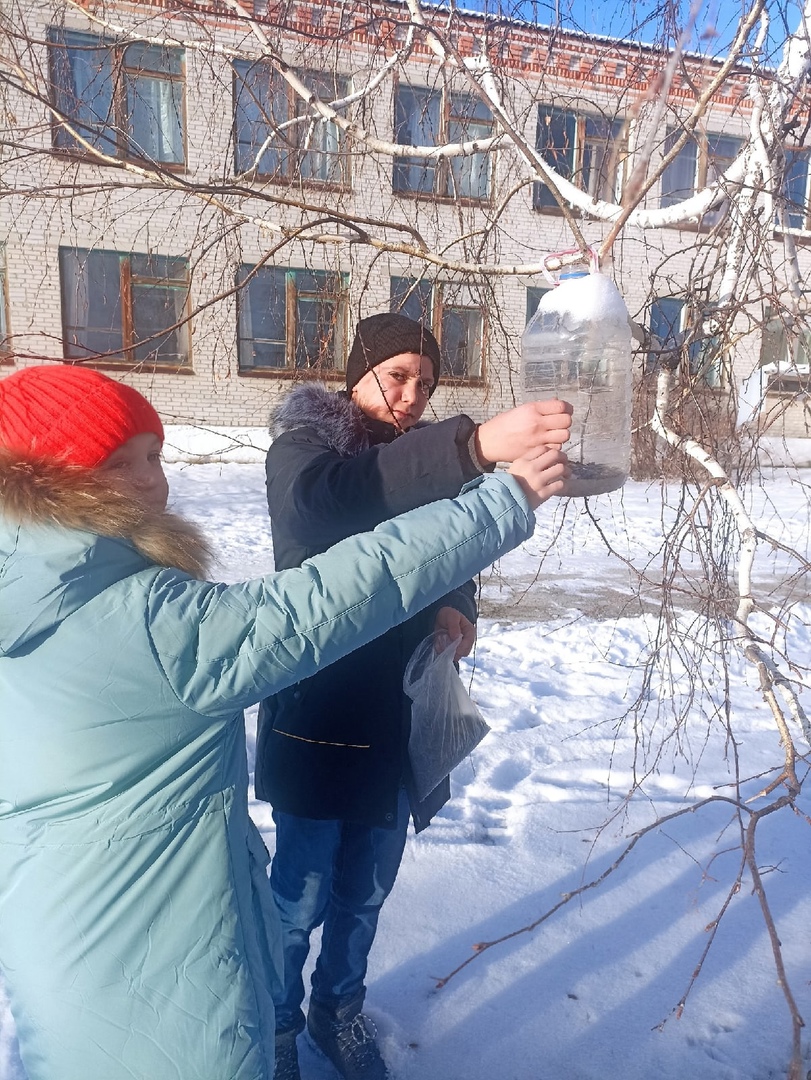 Модельный план: акция &amp;quot;Помоги зимой птицам&amp;quot;.